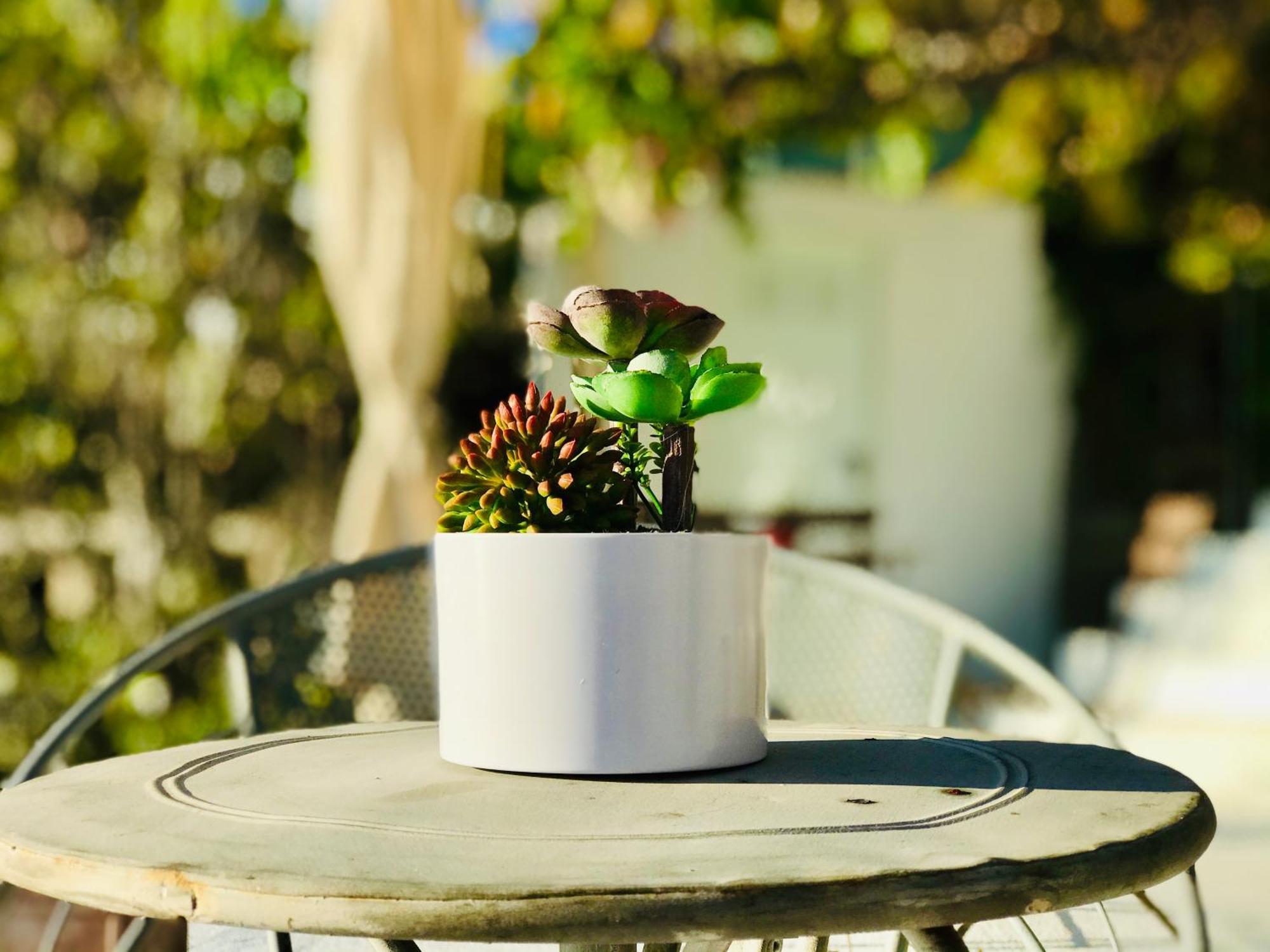 Bungalow Los Laureles El Paso Dış mekan fotoğraf